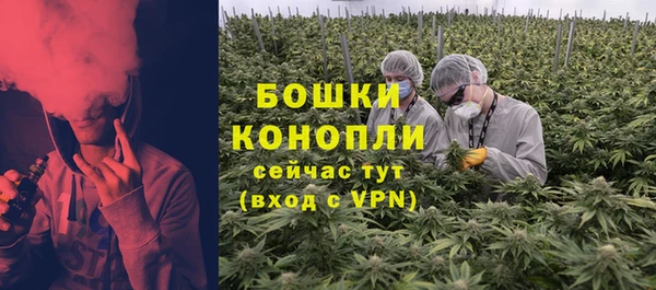 СК Волоколамск