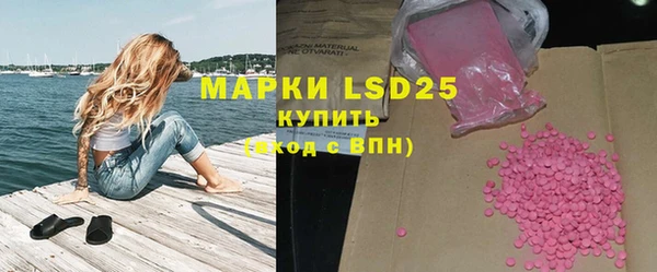 прущие грибы Володарск